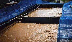 活性炭吸附水中染料测试