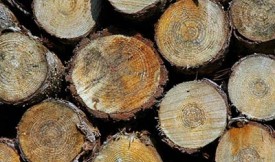 木质活性炭的基础知识