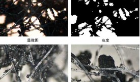 活性炭无纺布过滤器的吸附性能