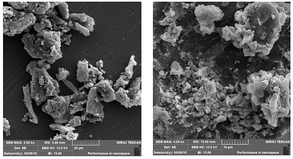 活性炭纳米复合材料的射扫描电子显微镜