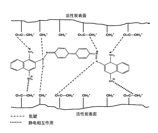 CR吸附到活性炭表面上的机理