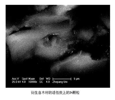 活性炭催化剂表征