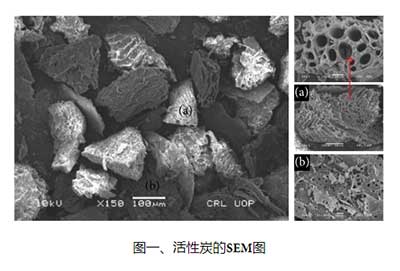 活性炭的显微扫描图像