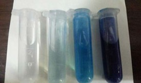 活性炭吸附亚甲基蓝研究